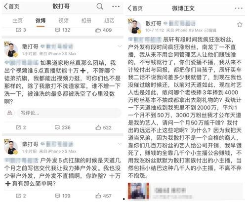 散打哥作品最新爆料文字,揭秘背后惊人真相！