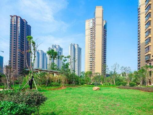 武汉住宅爆料事件最新消息,最新进展揭秘，业主维权真相曝光